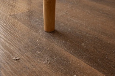 atrapa polvo santiago