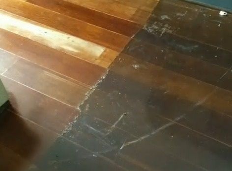 removedores de cera santiago