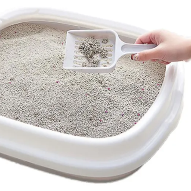 comprar arena para gatos santiago